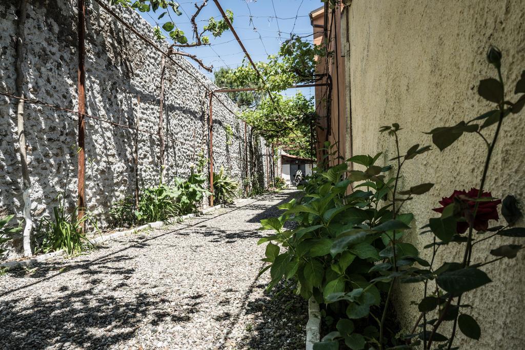 Eco Garten Guest House Shkodra Exterior foto