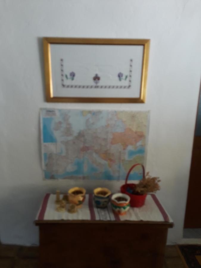 Eco Garten Guest House Shkodra Exterior foto